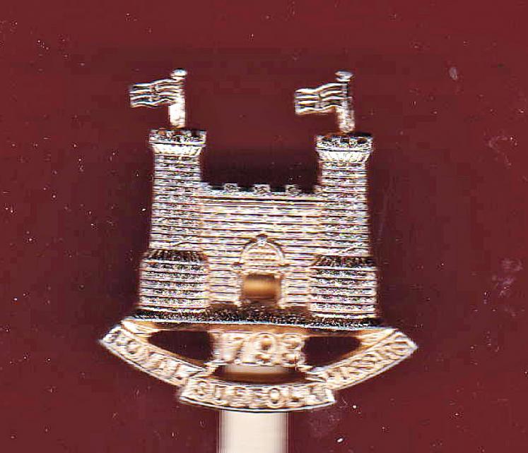 Loyal Suffolk Hussars staybright beret badge