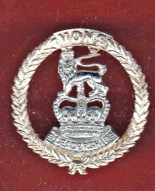 Mons Officer Cadet School staybright cap badge