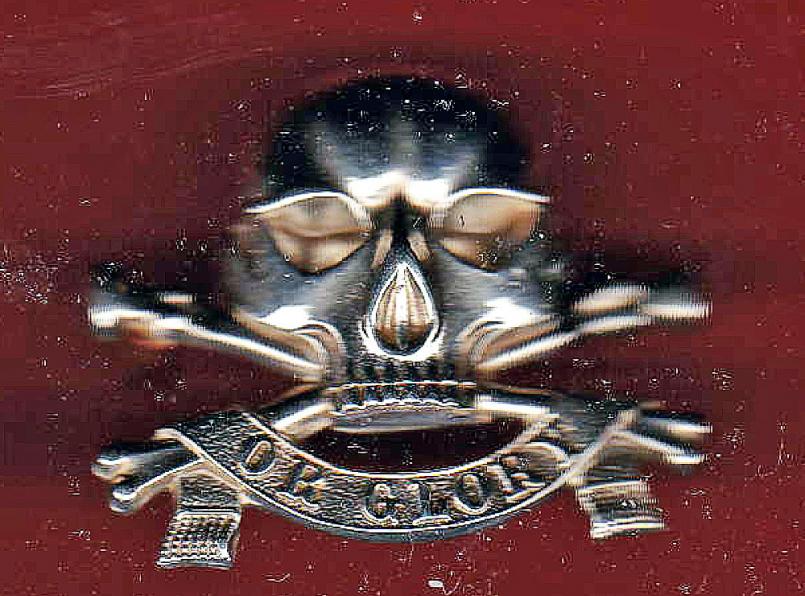 17th DCO Lancers Officer's  side cap badge