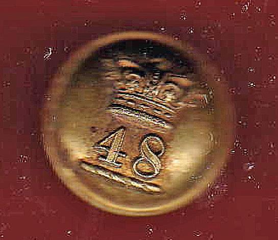 48th Northamptonshire Regiment of Foot Victorian Officer's button