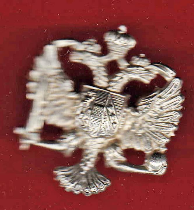 King's Dragoon Guards OR's cap badge