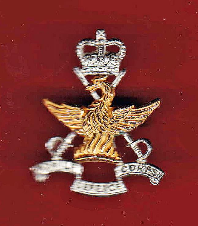 Mobile Defence Corps Officer's cap badge