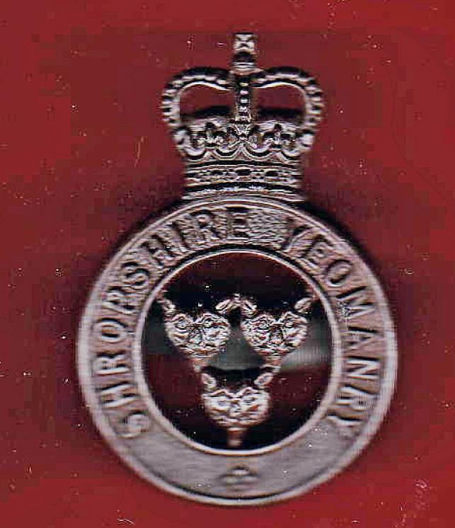 The Shropshire Yeomanry Officer's OSD cap badge