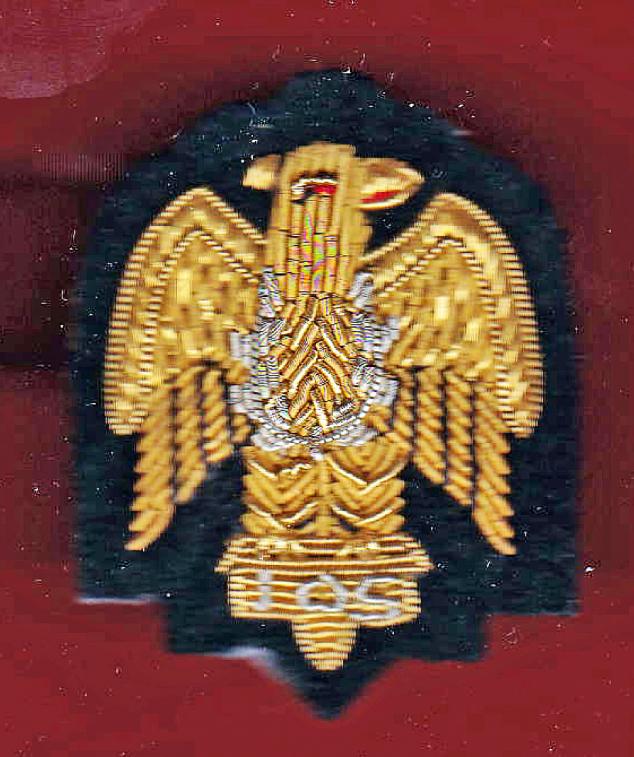 The Blues & Royals All Ranks embroidered Arm badge