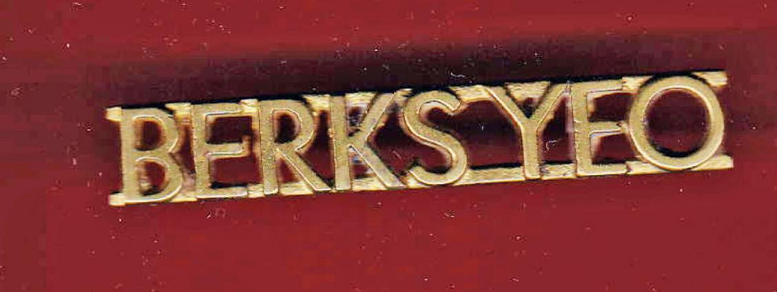BERKS YEO Berkshire Yeomanry shoulder title