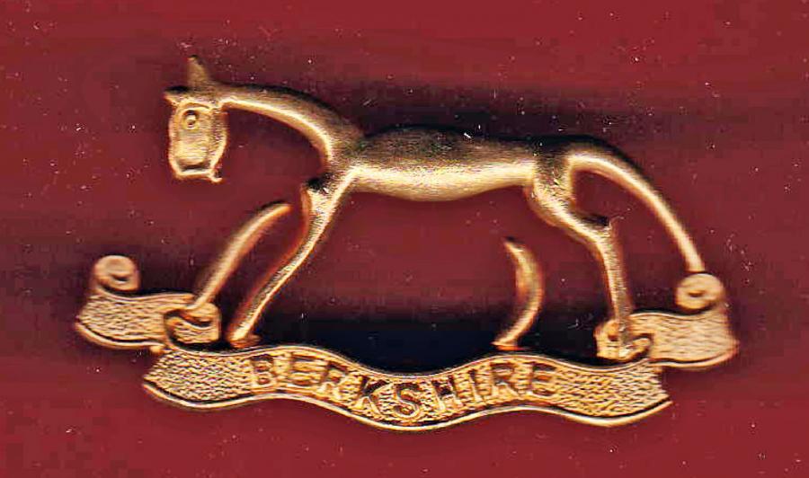 The Berkshire Yeomanry OR's cap badge