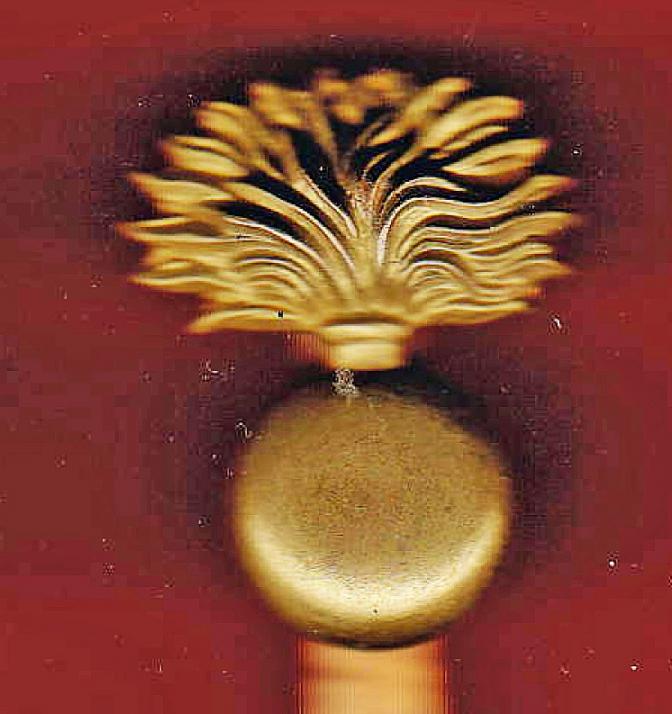 Scottish Royal Scots Greys Band cap badge