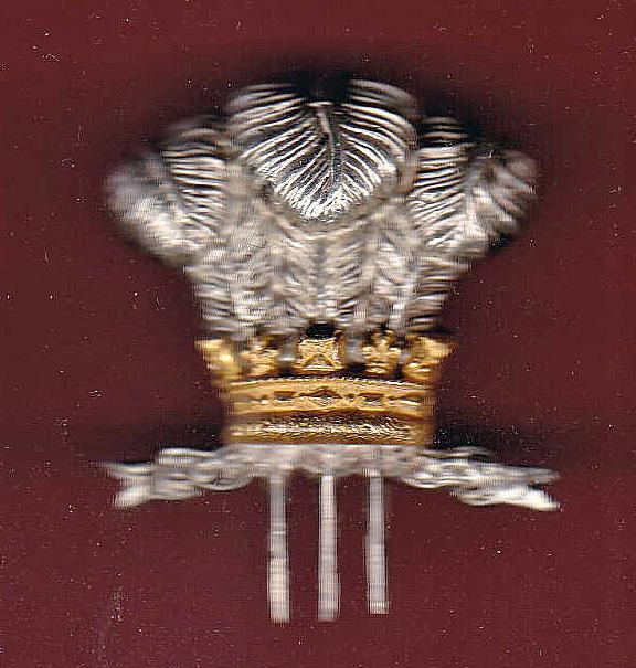10th Royal Hussars Officer's Beret & Tent-cap badge