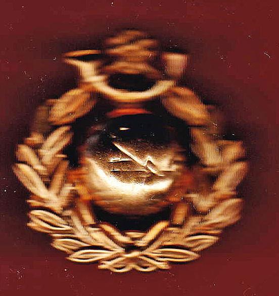Royal Marines Light Infantry WW1 OR's cap badge