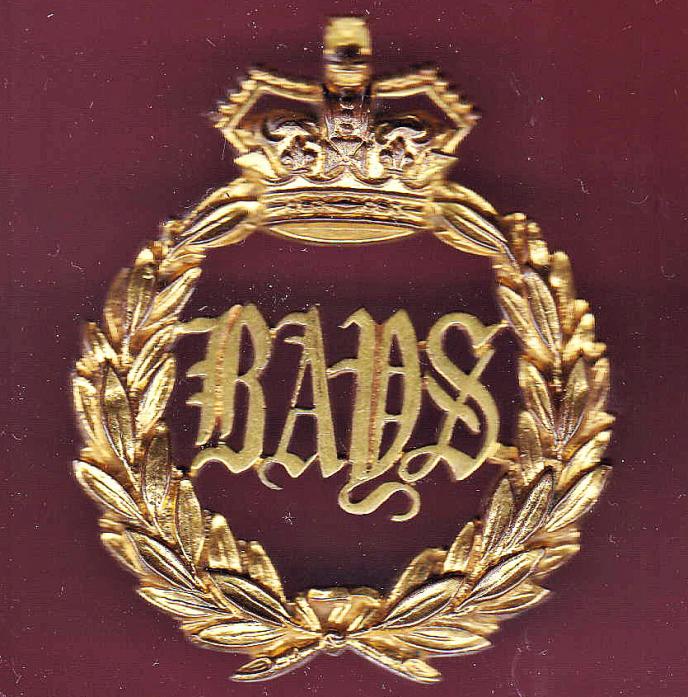 2nd Dragoon Guards (Queen’s Bays) Victorian Officer’s undress sabretache badge