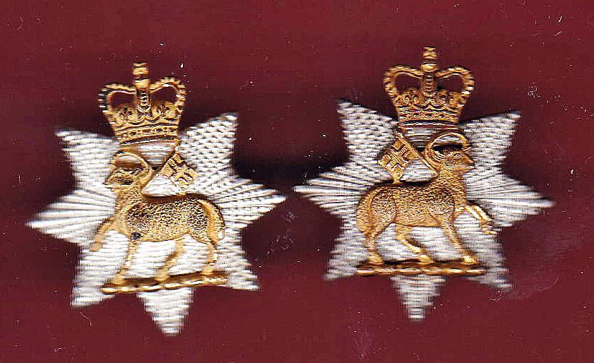 Queen’s Royal Surrey Regiment Officer's collar badges