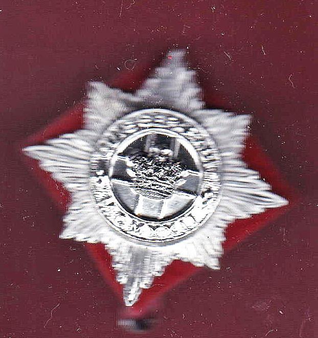4th/7th Royal Dragoon Guards  staybright cap badge