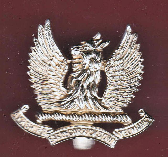 Scottish Ayrshire (Earl of Carrick's Own) Yeomanry OR's staybright cap badge
