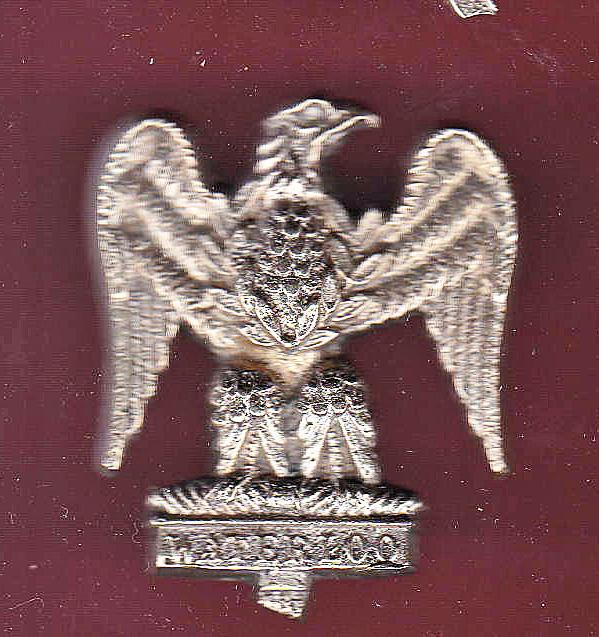 Scottish Royal Scots Greys NCO's arm badge
