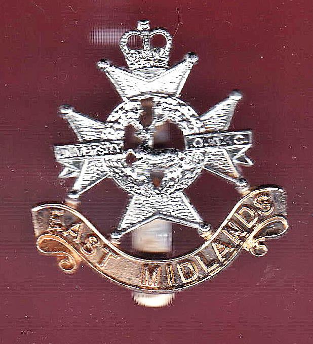 East Midlands  University OTC staybright cap badge