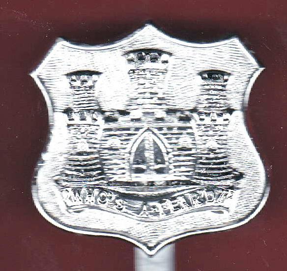 The Dorset Territorials Regiment Staybright cap badge