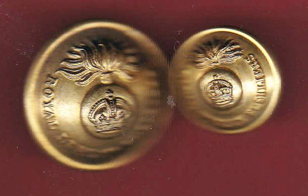 The Royal Dublin Fusiliers WW1 Officer's buttons