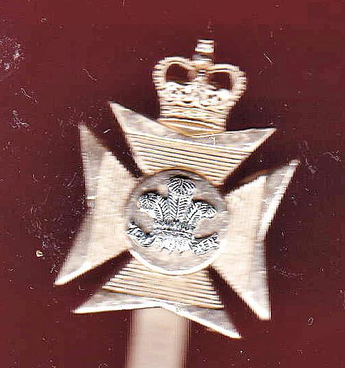 Royal Wiltshire Territorials staybright cap badge