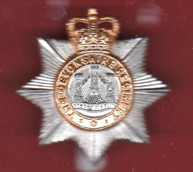 The Devonshire Regiment staybright cap badge