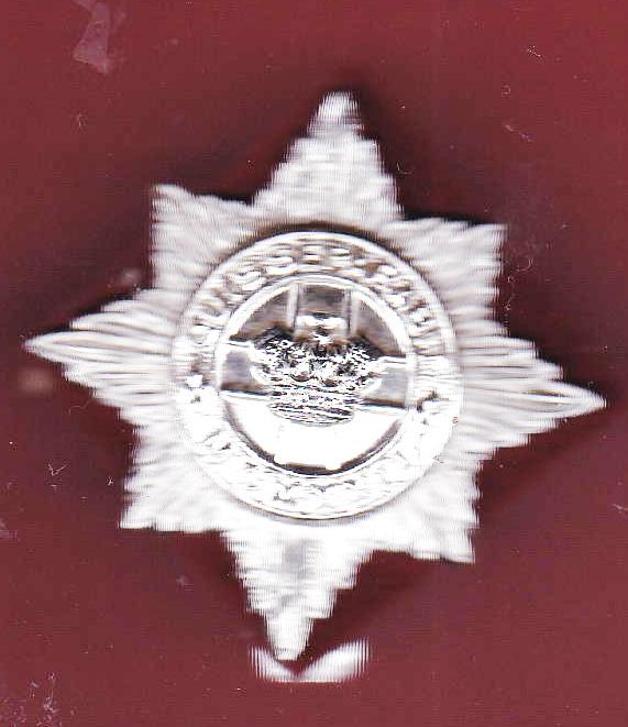 4th/7th Royal Dragoon Guards OR's staybright cap badge