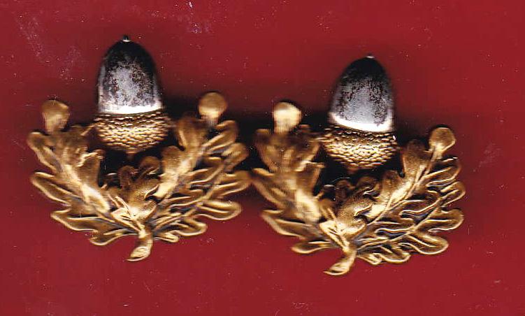 The Cheshire Regiment Officer's collar badges