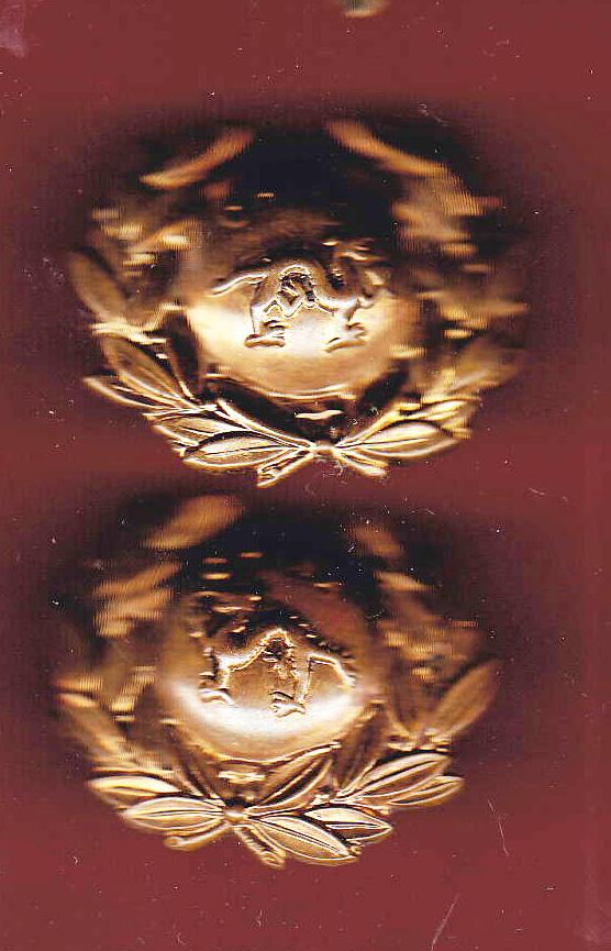 The Border Regiment Victorian OR's collar badges