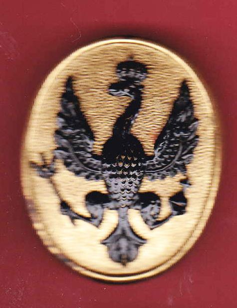 14th/20th King's Hussars JNCO's arm badge