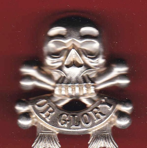 17th DCO Lancers NCO's arm badge