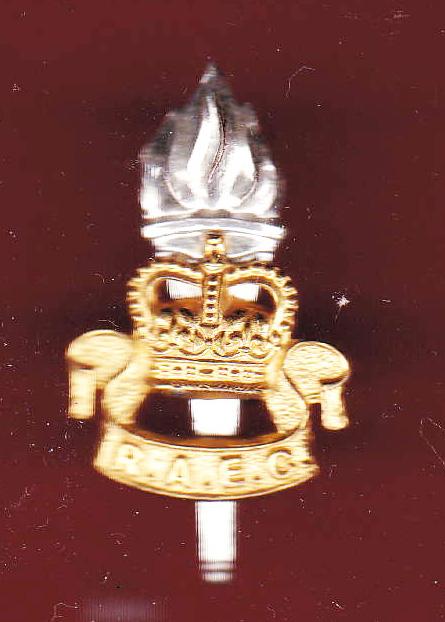 Royal Army Educational Corps Officer's cap badge