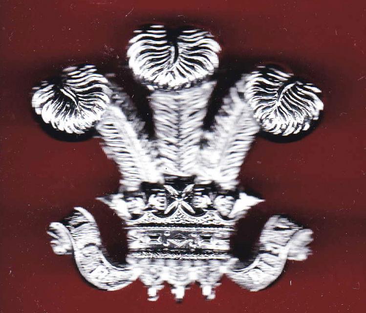 10th Royal Hussars (Prince Of Wales's Own) NCO's arm badge