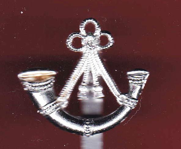 Ox & Bucks Light Infantry OR's staybright beret badge