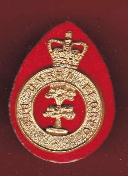 British Honduras Defence Force or Volunteer Guard cap badge
