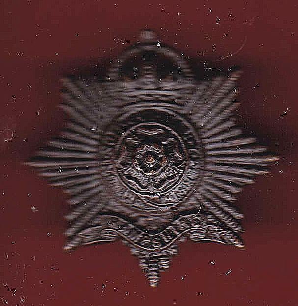 The Hampshire Regiment Officer's OSD cap badge