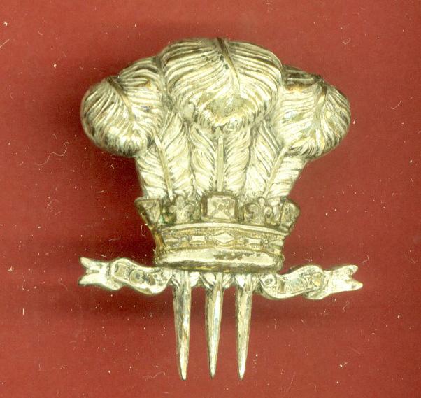 10th Royal Hussars Officer's Beret & Tent-cap badge