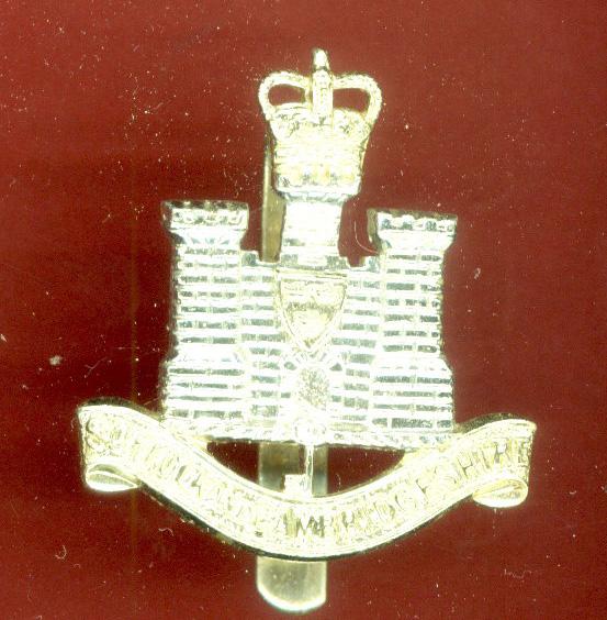 Suffolk & Cambridgeshire Regiment staybright cap badge