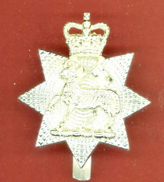 The Queen's Royal Surrey Regiment staybright cap badge