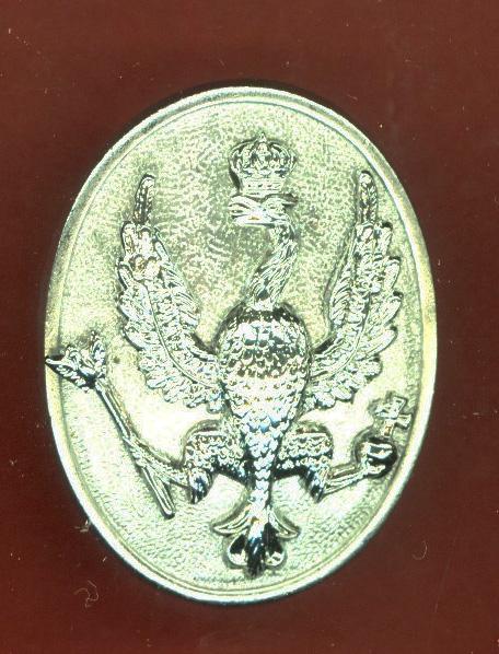 14th/20th King's Hussars NCO's arm badge