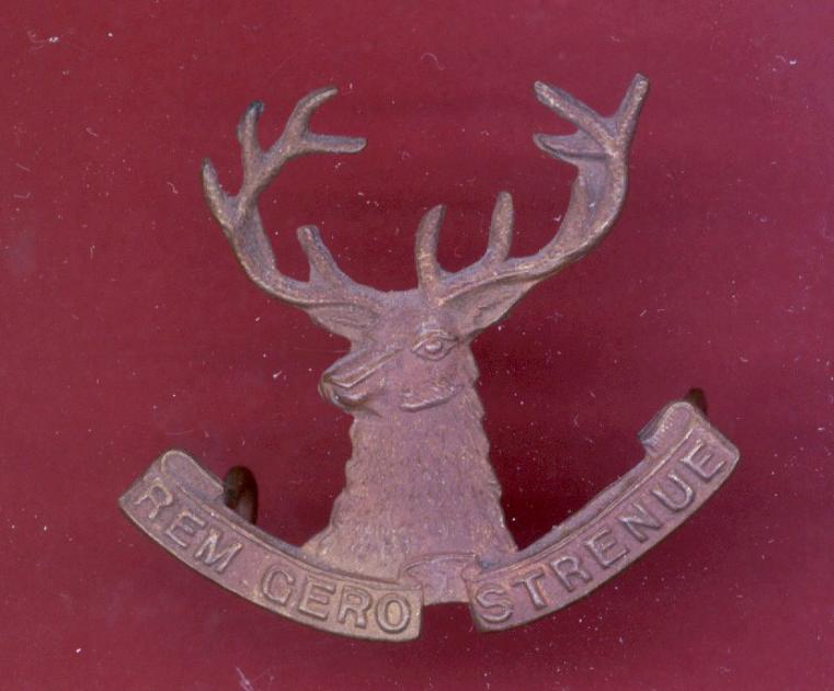 New Zealand 10th Nelson Mounted Rifles cap badge