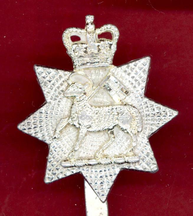 The Queen's Royal Surrey Regiment staybright cap badge