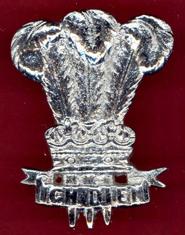 Prince of Wales's Plumes badge