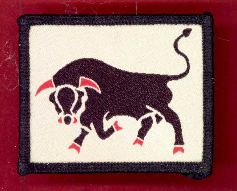 11th Light Infantry Brigade TRF cloth formation sign