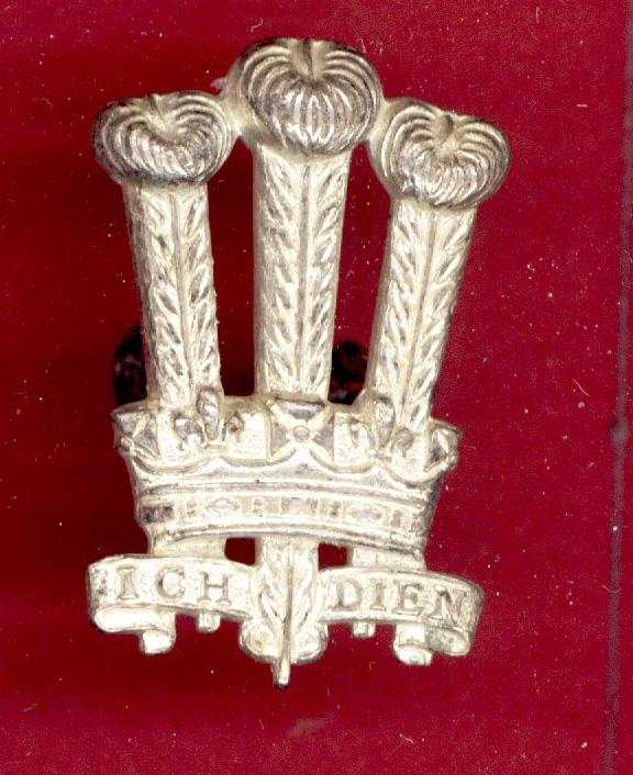 The Welch Brigade Officer's cap badge