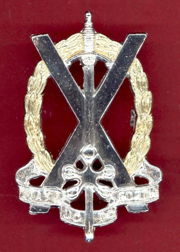 Tayforth University U.O.T.C. staybright cap badge