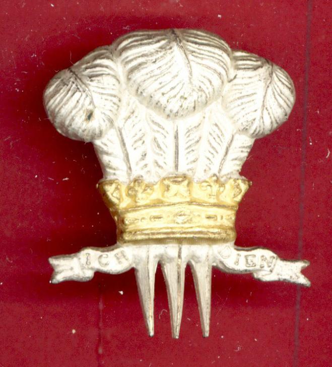 10th Royal Hussars Officer's Beret & Tent-cap badge