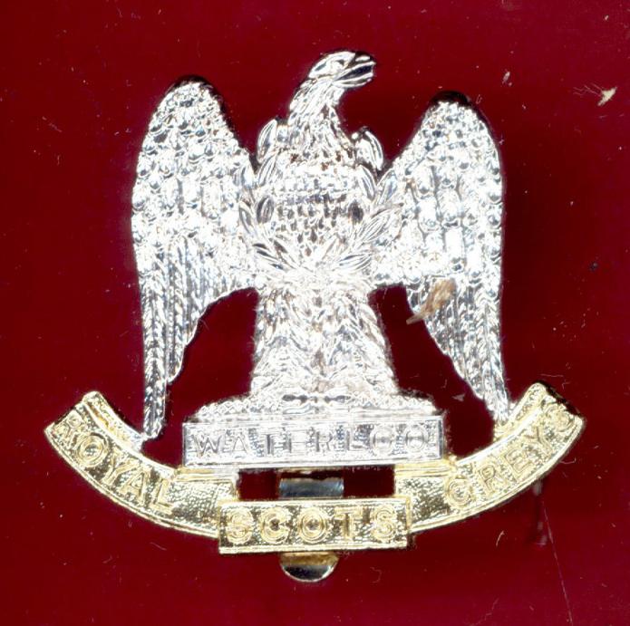 Scottish Royal Scots Greys OR's staybright cap badge