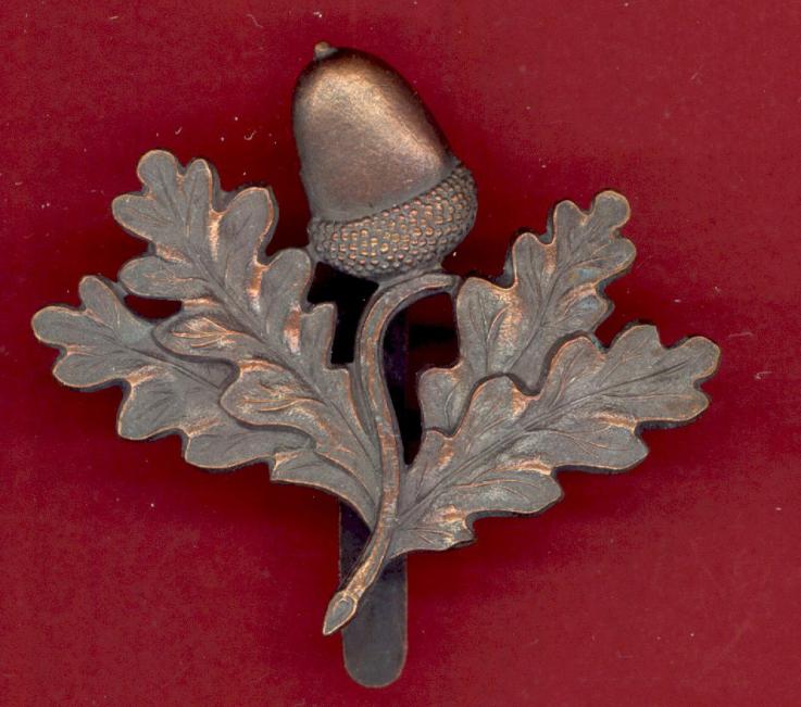 South Nottinghamshire Hussars Yeomanry OR's cap badge