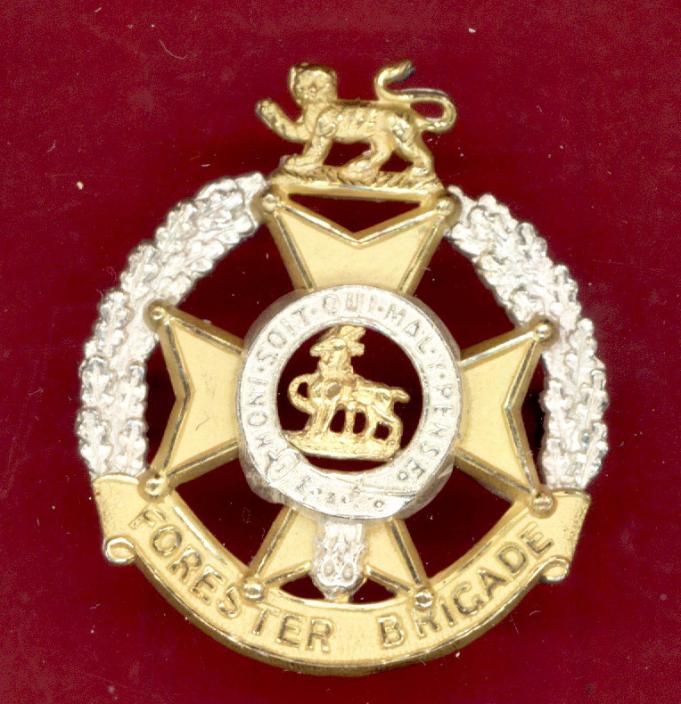 Forester Brigade Officer's cap badge