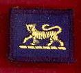 The Princess of Wales's Royal Regiment Tiger arm badges