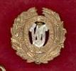 West India Regiment helmet / pagri badge