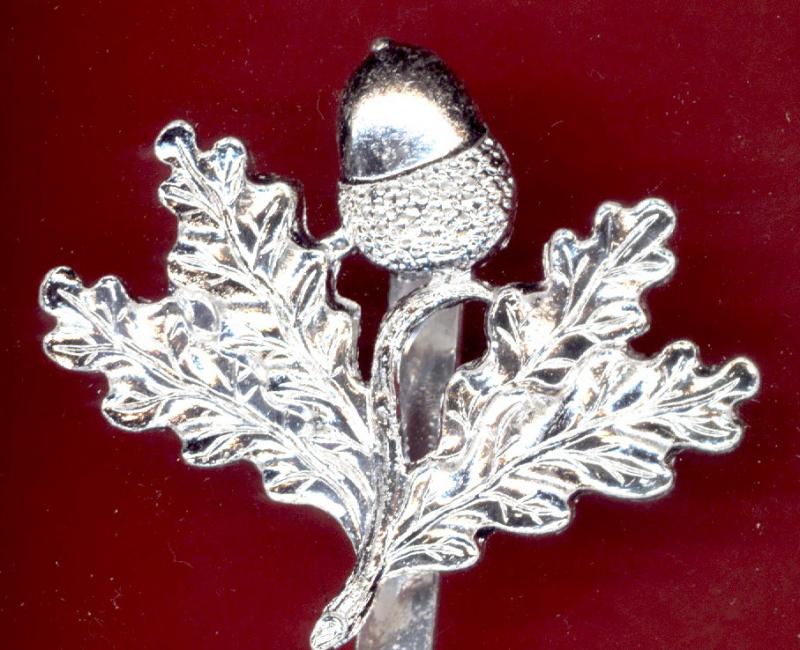 South Nottinghamshire Hussars staybright cap badge